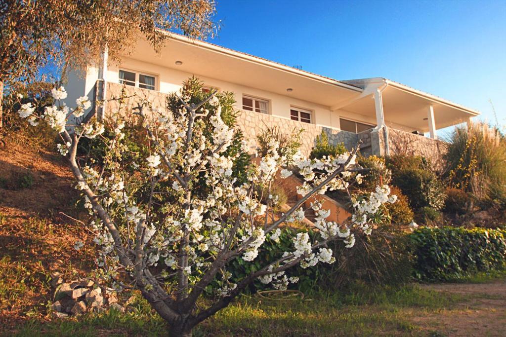 Villa Ghiatone Pietrosella エクステリア 写真