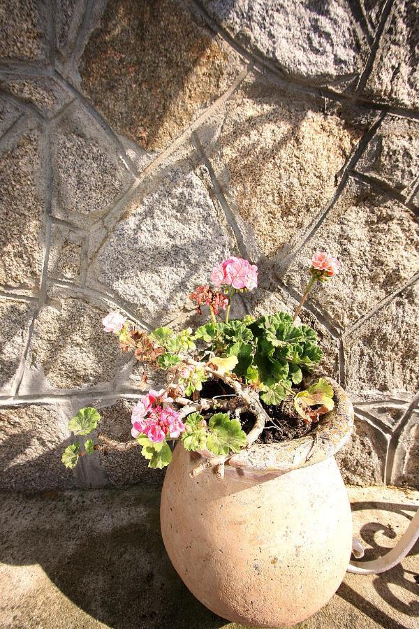 Villa Ghiatone Pietrosella エクステリア 写真